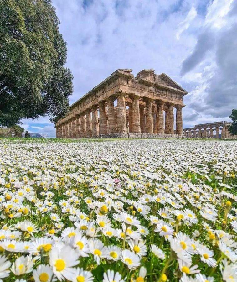 Bed and Breakfast La Ricarda Dimora Di Campagna Paestum Exteriér fotografie