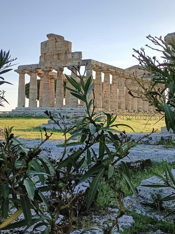 Bed and Breakfast La Ricarda Dimora Di Campagna Paestum Exteriér fotografie